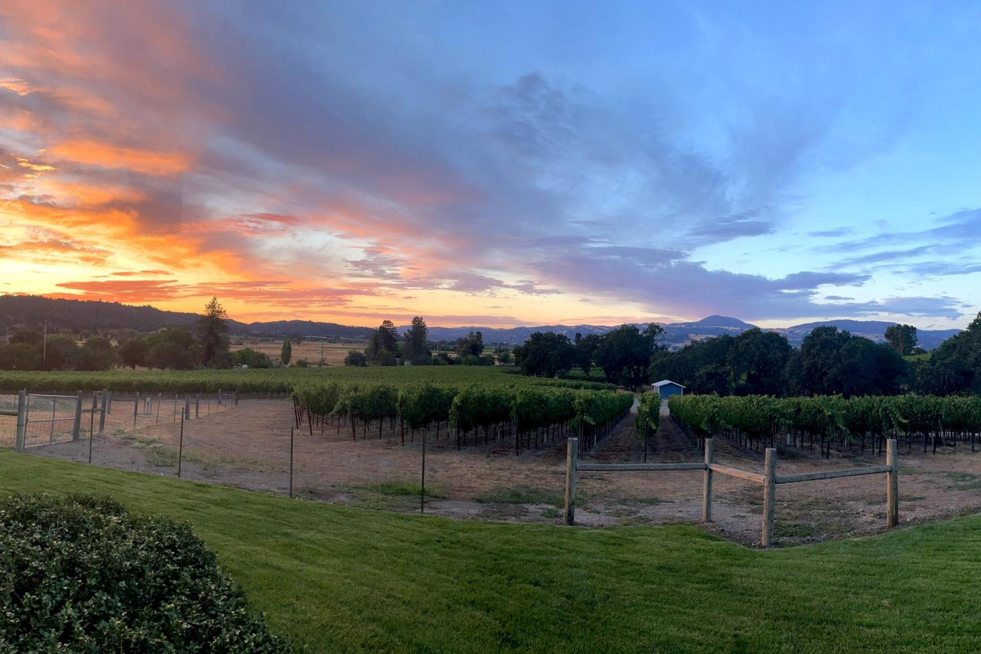 Alexander Valley Retreat Хилдсбург Экстерьер фото